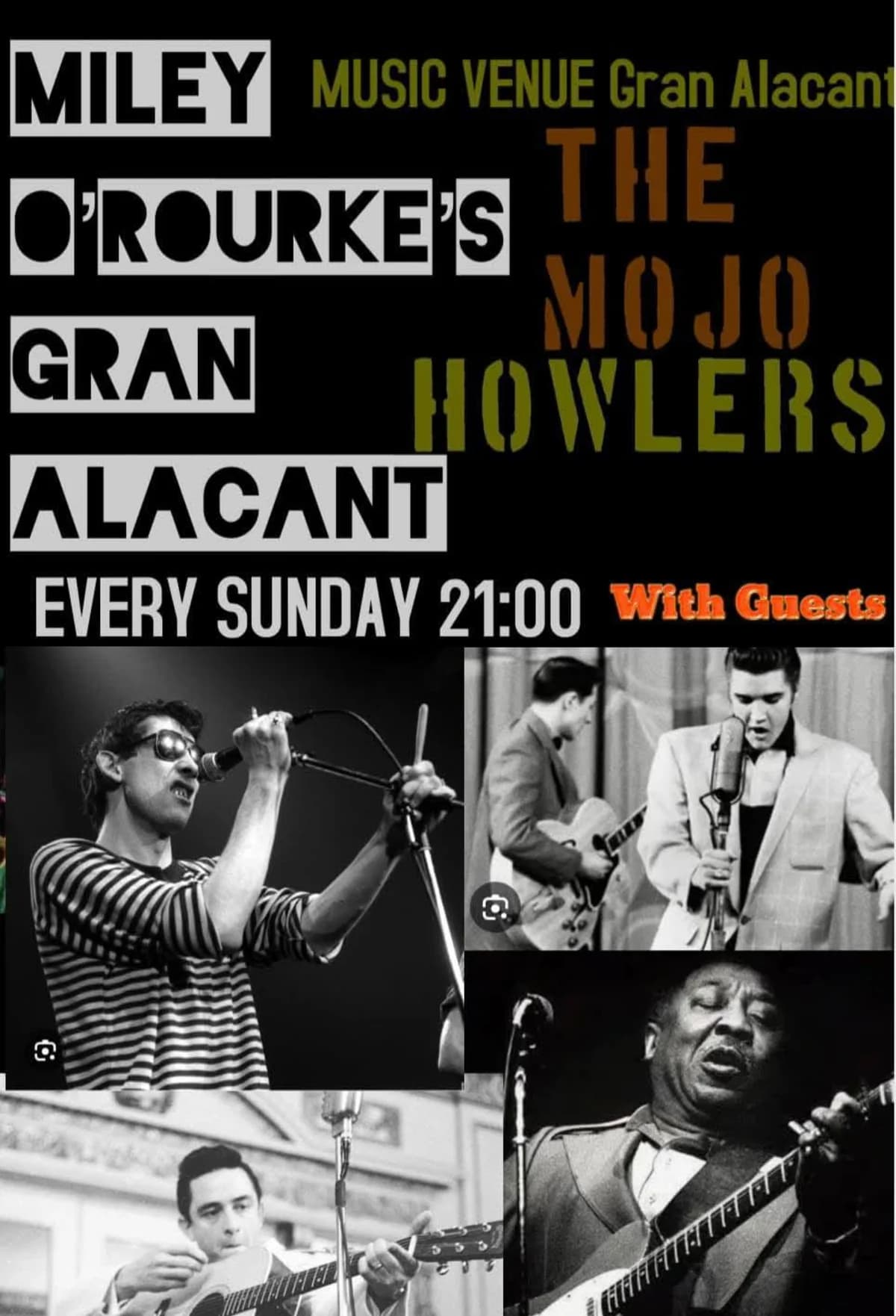 Blues/Rock concert + invited guests
